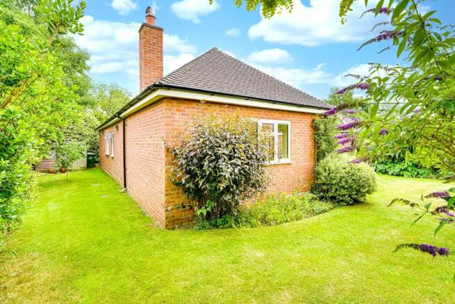 Back Garden