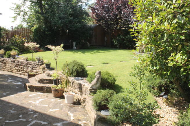 Photo 15
