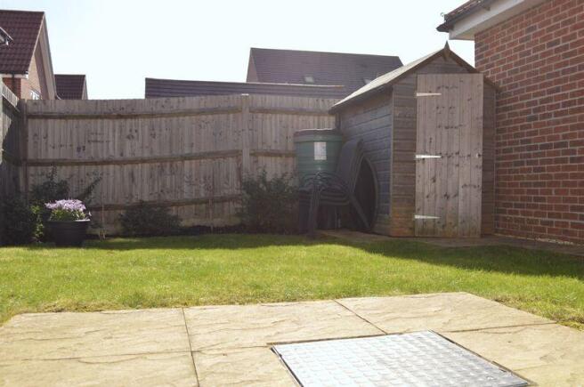 Photo 11