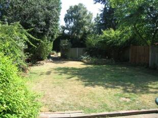 Garden 1