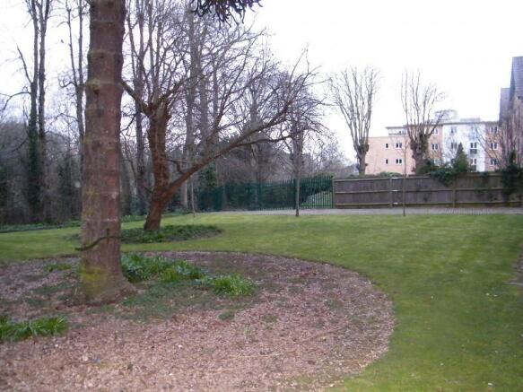 Communal Gardens