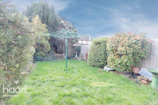 Photo 15