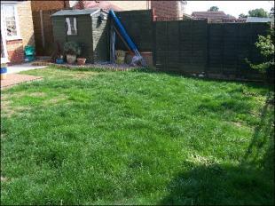 LAWNED GARDEN