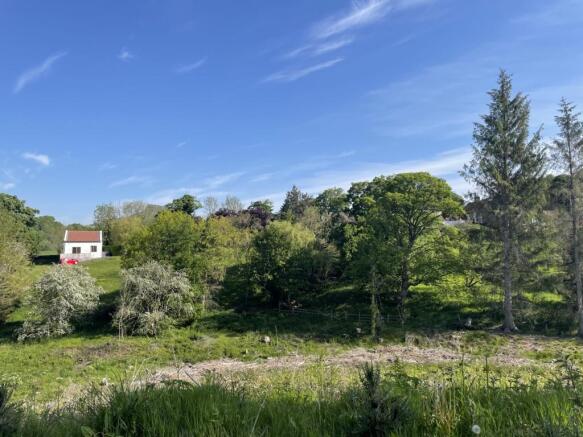 Views to Cottage