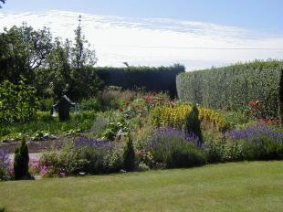 Vegetable Garden