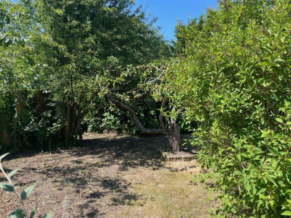 Garden1.jpg