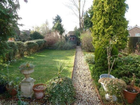 Photo 7
