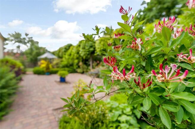 Garden Detail
