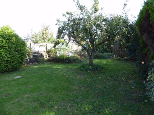 Photo 20