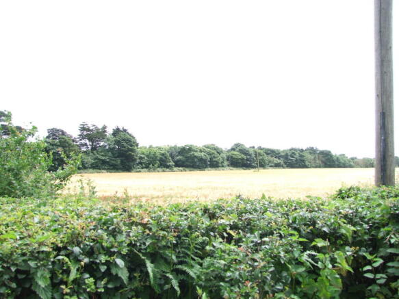 local scene