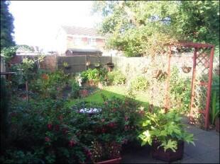 rear of property