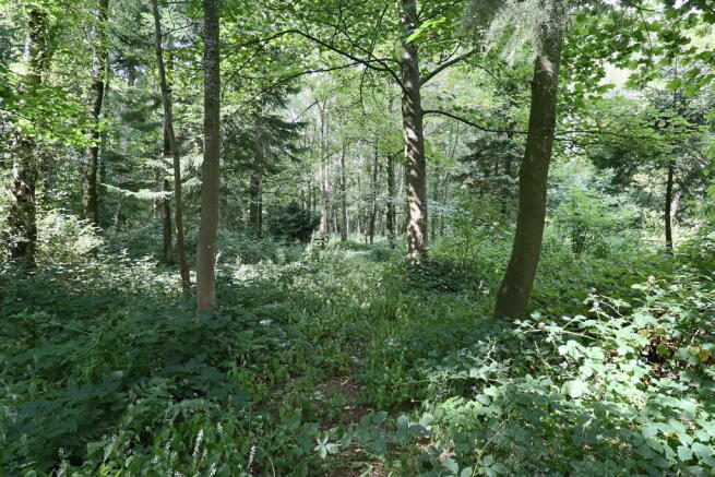 Photo 17