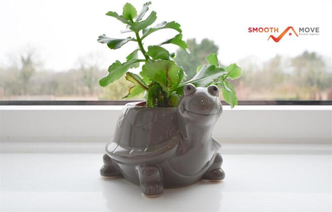PLANT .jpg