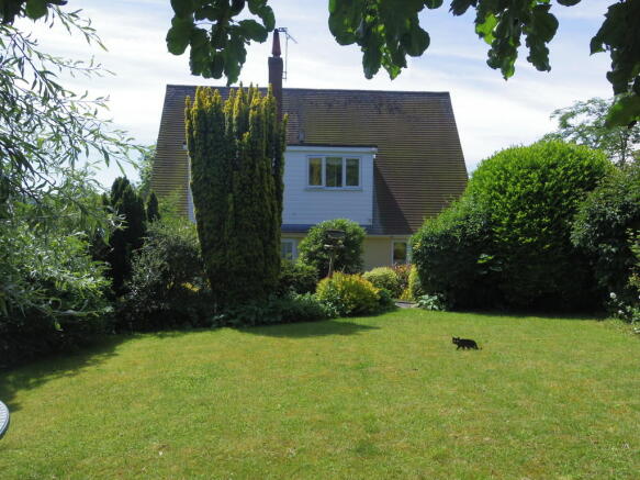 Photo 5