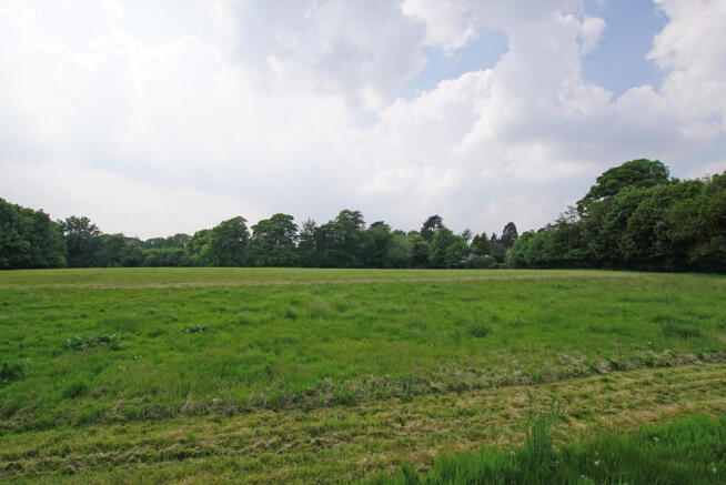 Field