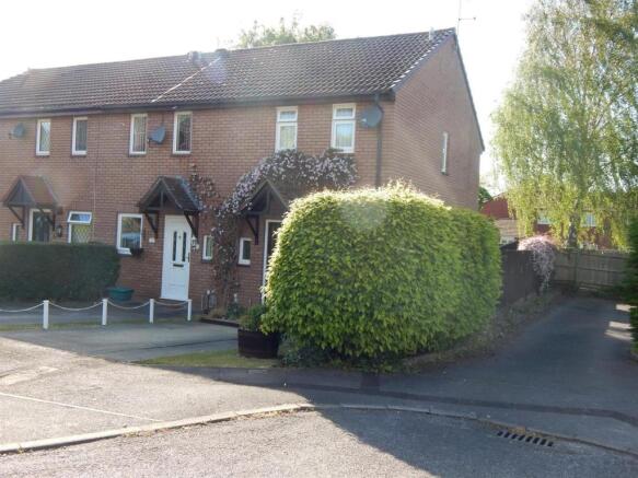 Front Garden/ Drivew