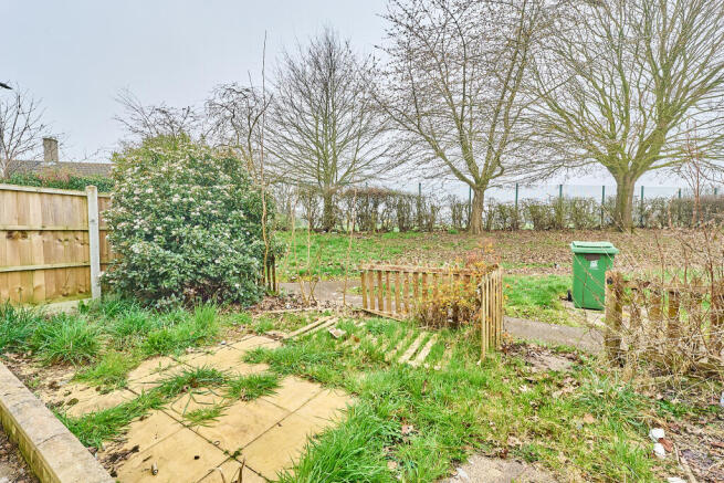 P1701392 T202603201706.jpg