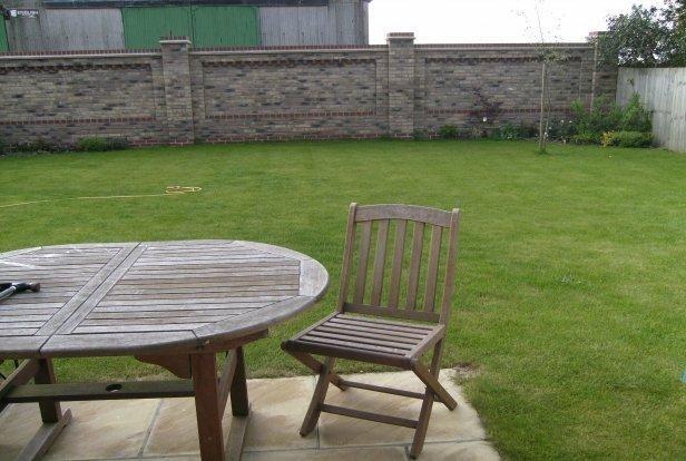 Picture 9