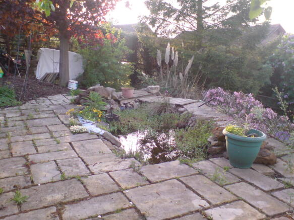 Photo 17