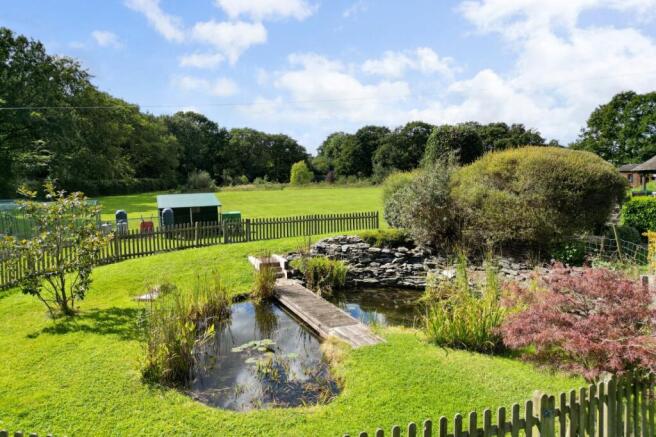 Pond