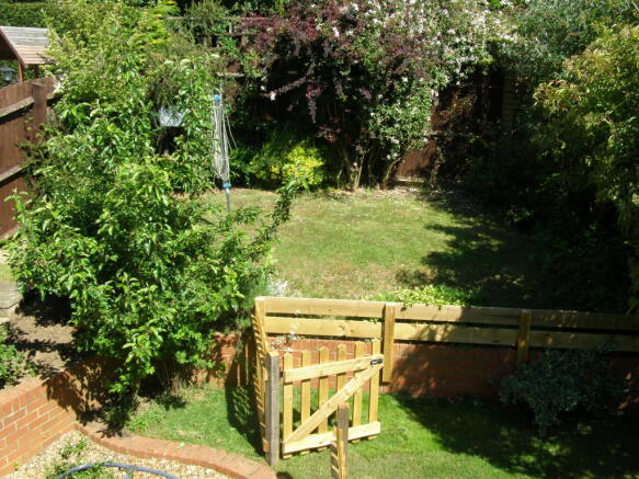 Photo 5