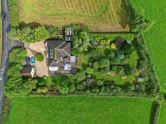 Drone View