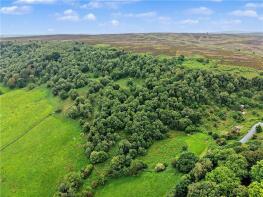 Far High Westcliffe House, Nought Bank Road To Far High Westcliff, Harrogate HG3 5JA
