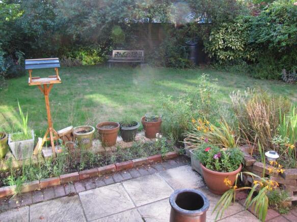 Photo 11
