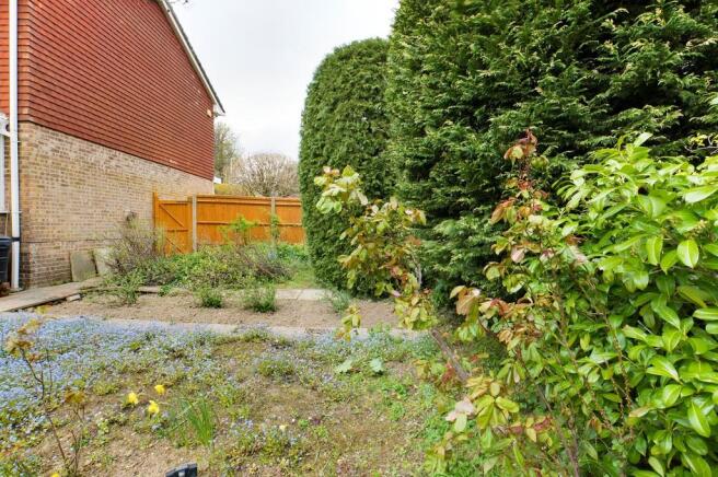 Vegetable Patch