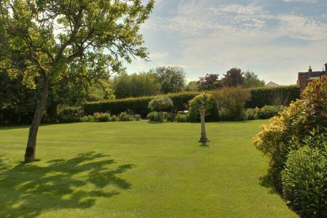 Garden at Back