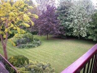 Communal grounds