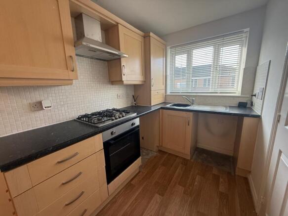 WhatsApp Image 2026-02-18 at 16.56.35