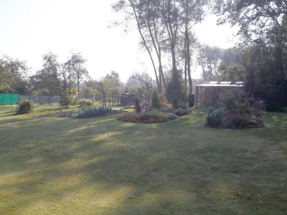 Photo 21