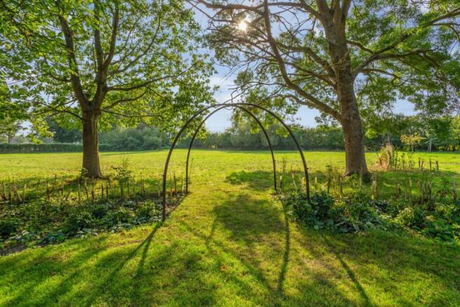 Garden & Meadow