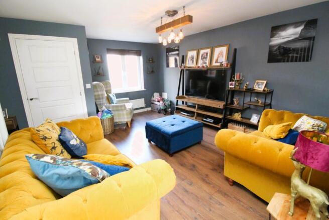 IMG_5619