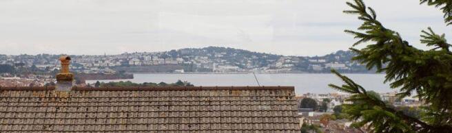 Panoramic View