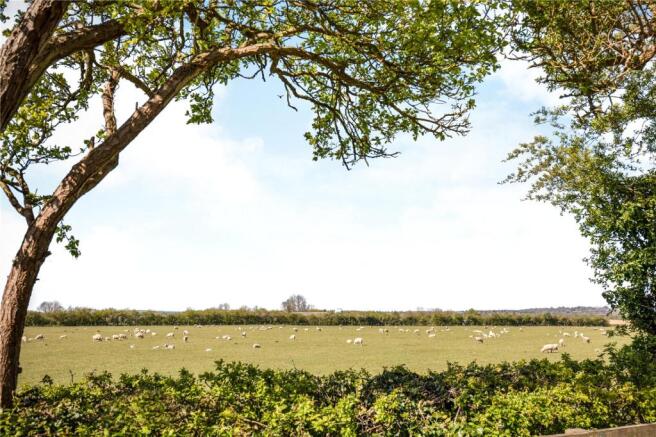 Countryside To Rear