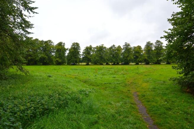 The Heath