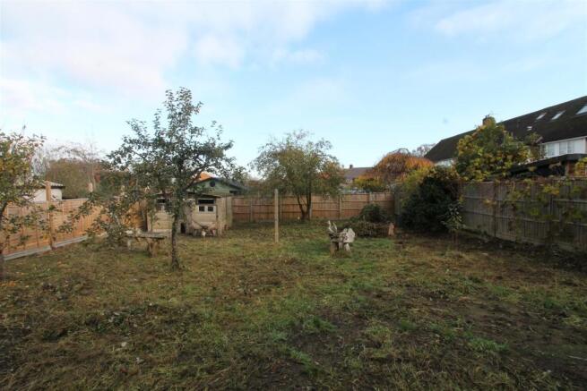 Garden.JPG