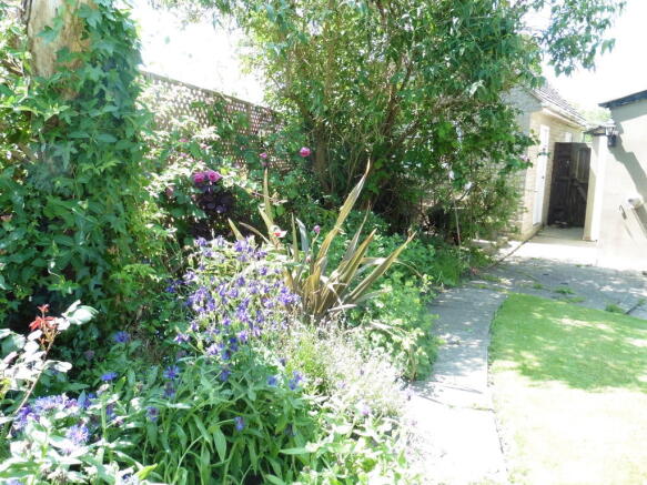 Photo 12
