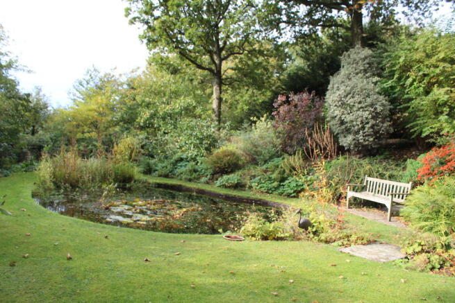 Pond
