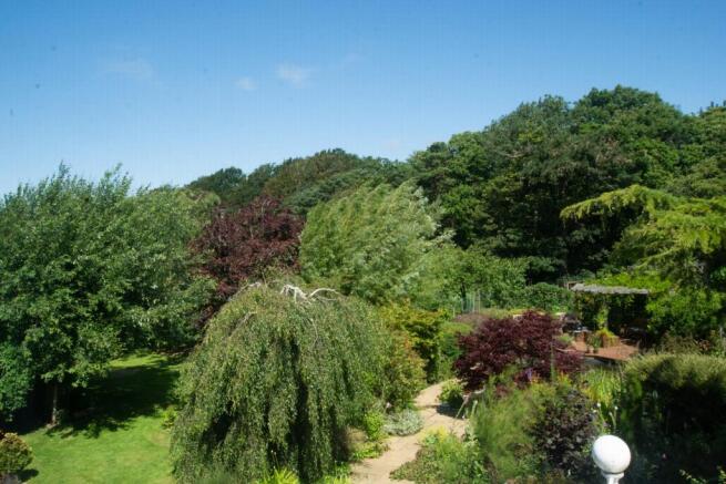 Overall Garden Views