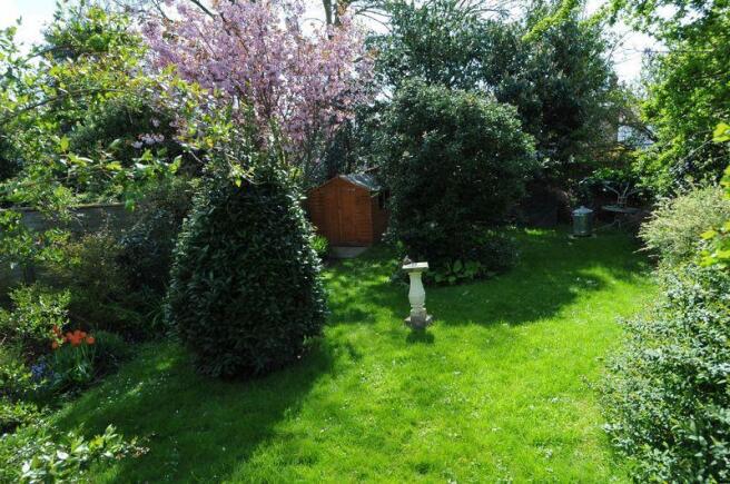 Photo 15
