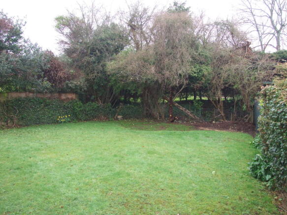 Garden Rear