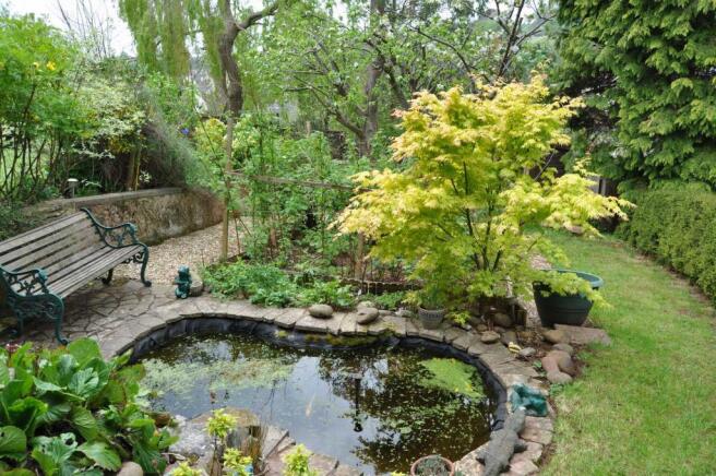 Garden pond