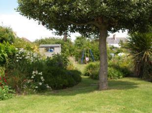 Garden 3