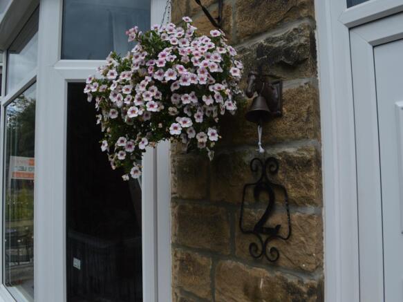 Image 13