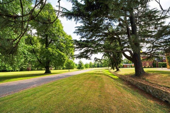 Drive To The Park