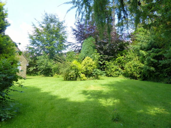 Garden 1