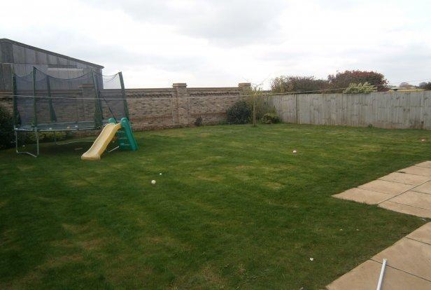 Picture 10